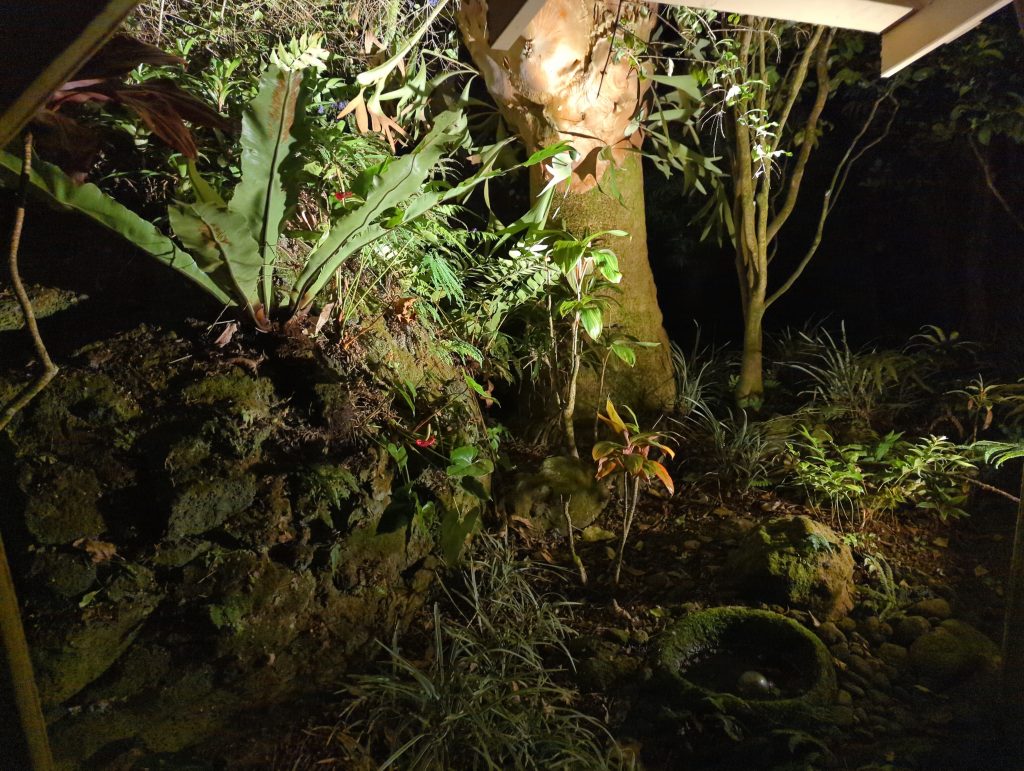 shower garden at night